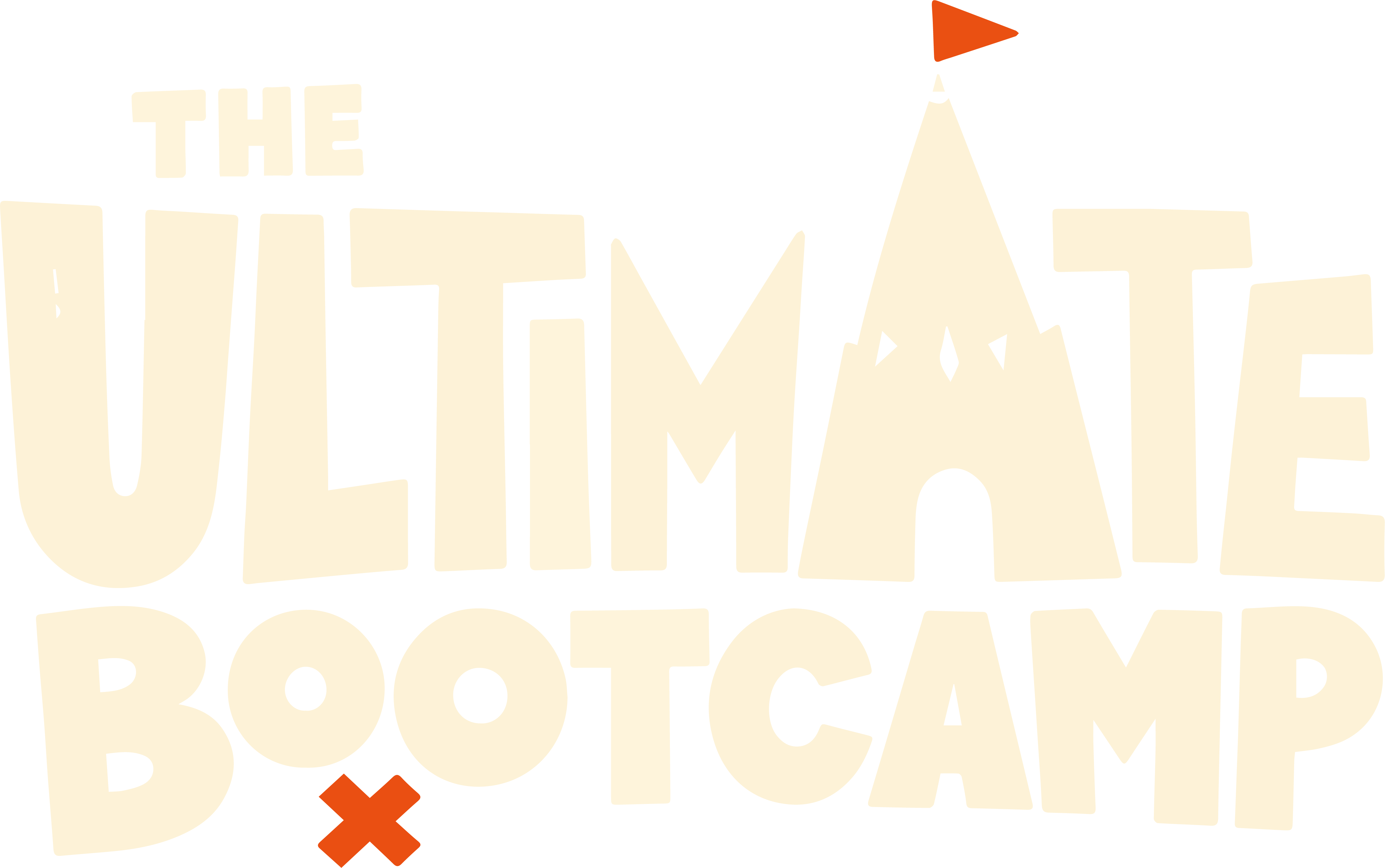 The Ultimate Bootcamp